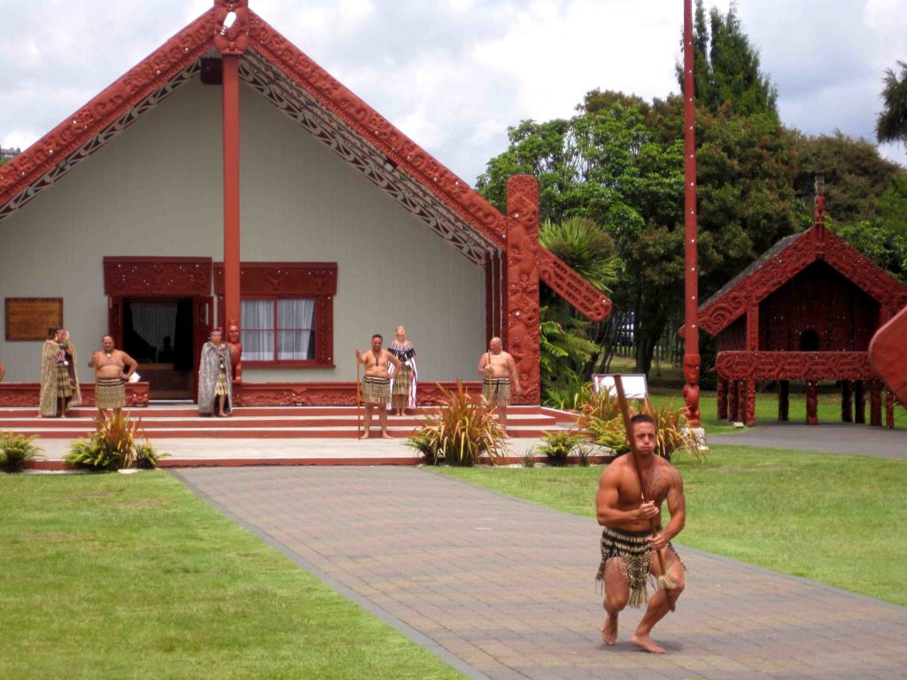 The Maori Experience