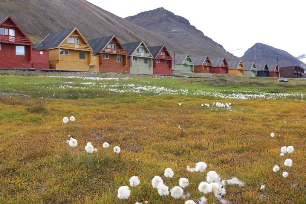 Svalbard: 10 Things You May Not Know